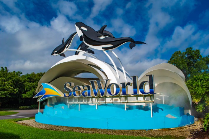 FREE SeaWorld Admission for Active Duty Military Members