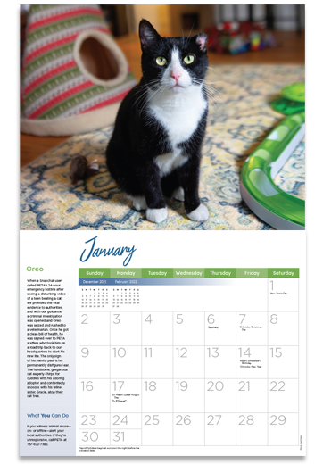 Free 2022 PETA Rescued! Calendar