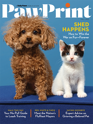 Free PawPrint Magazine with Free Shipping