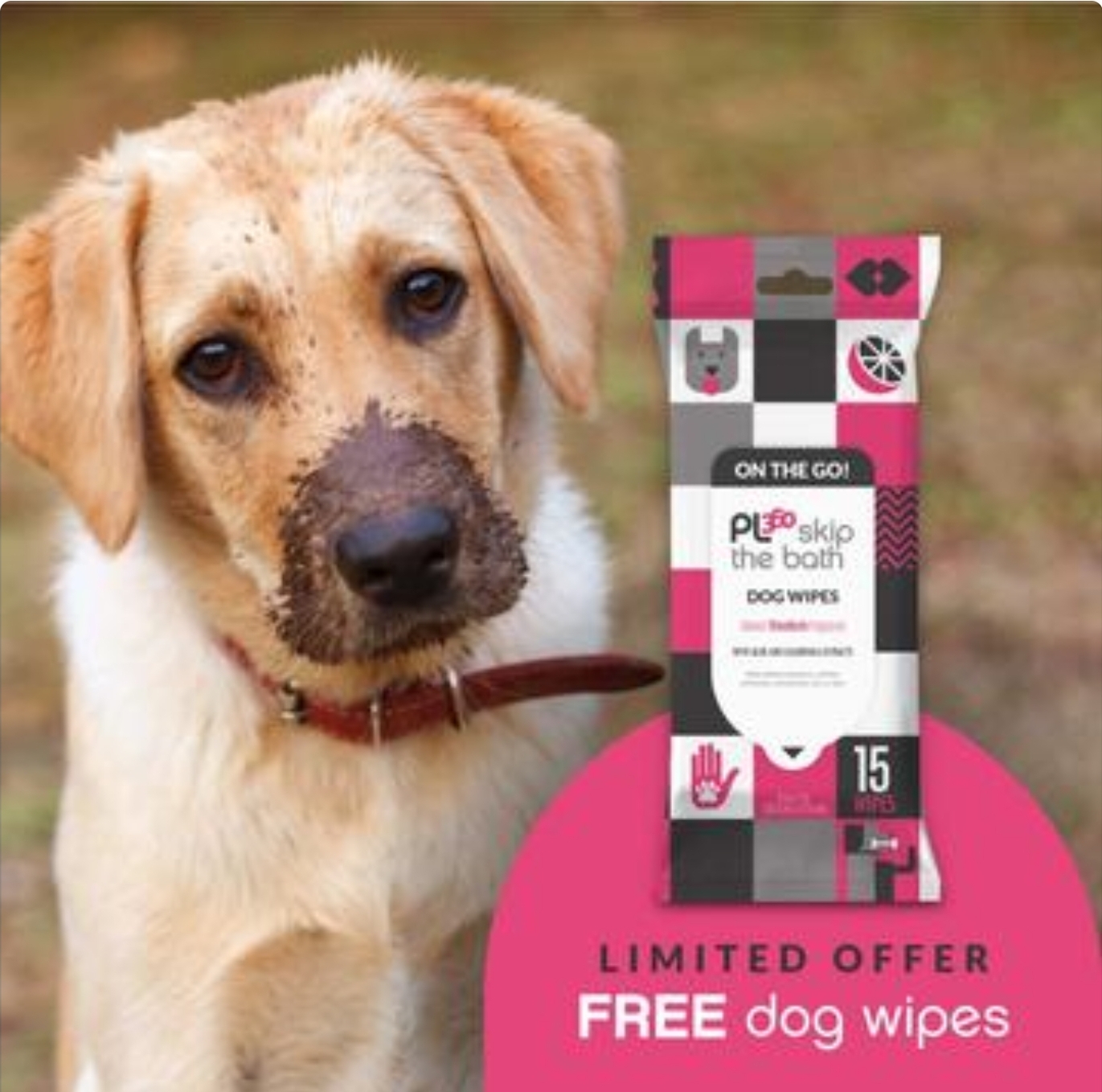 Free Pack of PL360 Dog Wipes