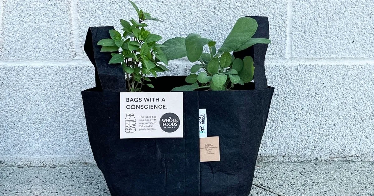 Free Planting Kit at Whole Foods on May 7