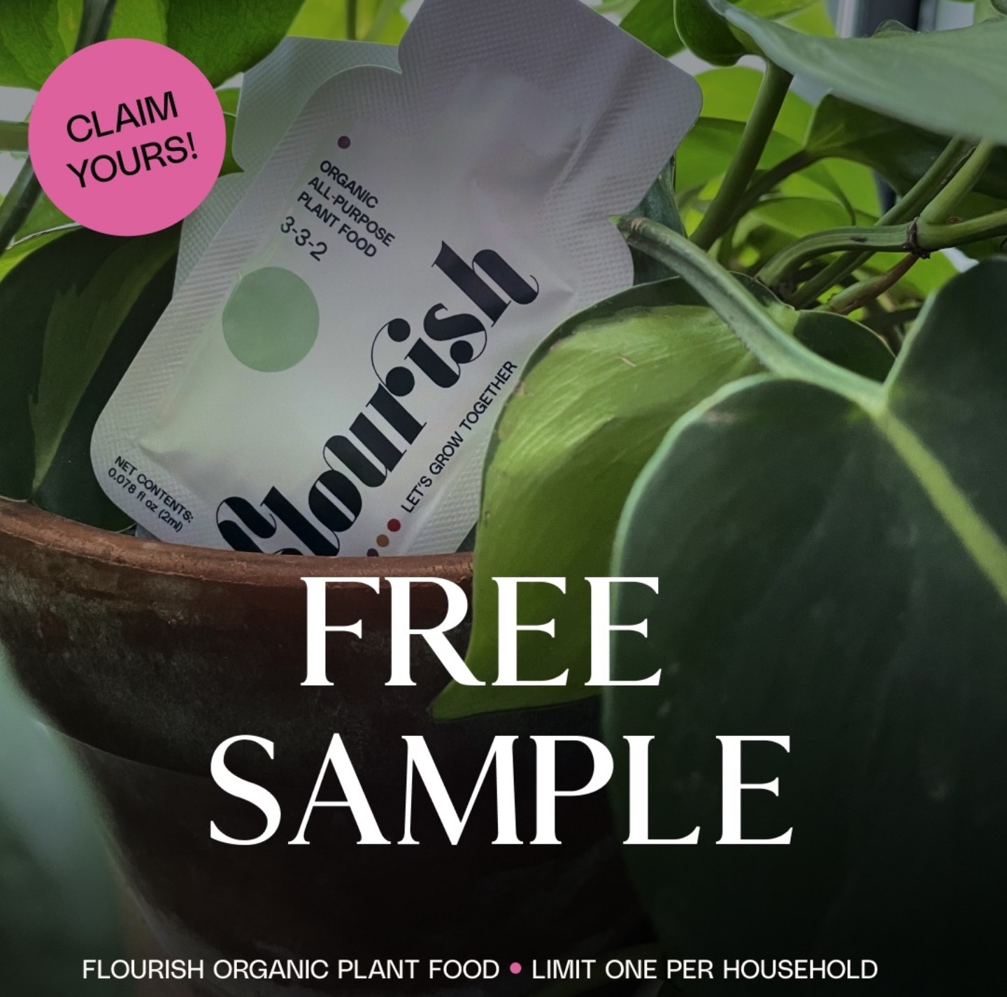 Free Sample of Flourish Organic Plant Food