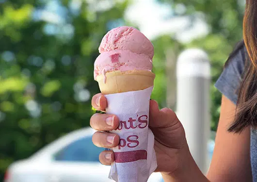 Free Ice Cream Cone From Stewart’s Shops
