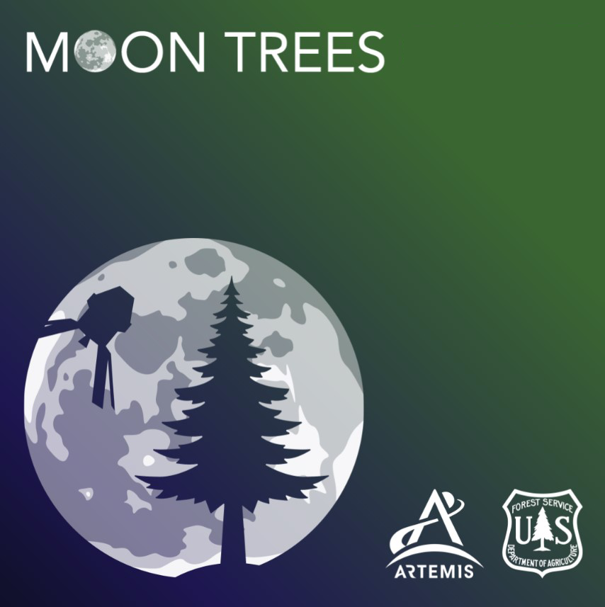 FREE Artemis Moon Tree Seedling For Educators
